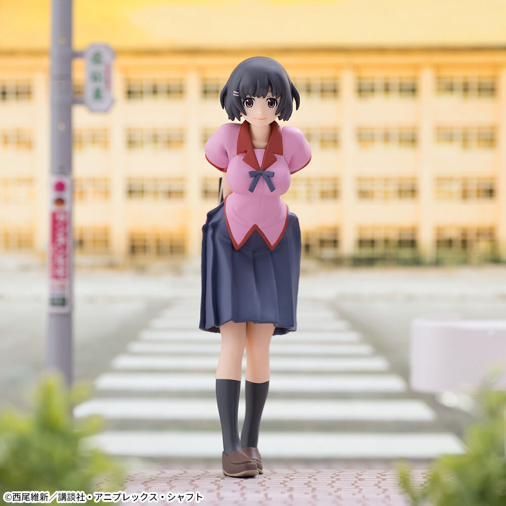 Monogatari Series - Nisemonogatari - Hanekawa Tsubasa