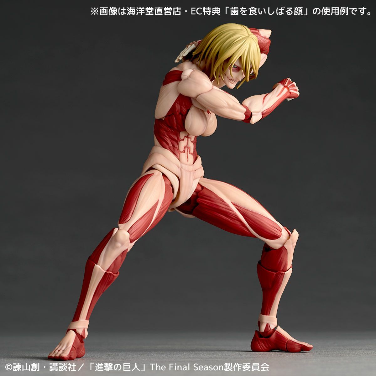Attack on Titan - Female Titan - Amazing Yamaguchi - Revoltech